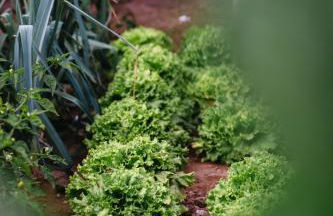 GILS Experience - Photo 49