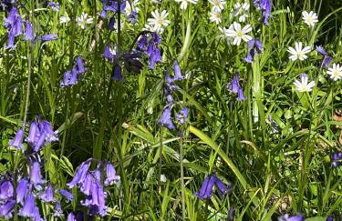 The Granary - Wood Farm Barn. Luxury Barn with wonderful countryside views - Photo 47