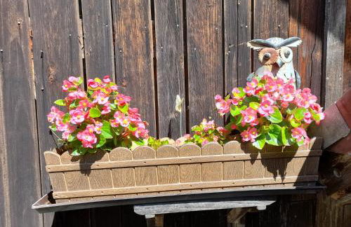 Ferienwohnung im Seidlerhof mit Balkon und Garten - Foto 10
