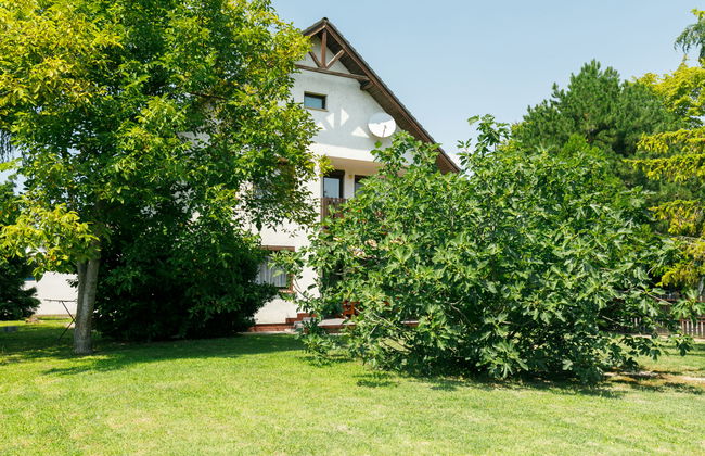 6 bedroom House in Balatonfenyves with garden and terrace - Photo 25