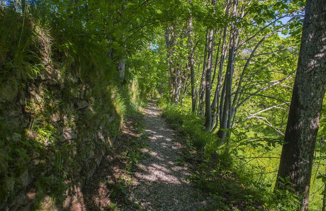 Il Borgo Dei Celti - Foto 78