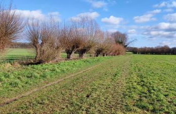 Moderne Doppelhaushälfte mit Süd-West-Terrasse - Foto 32