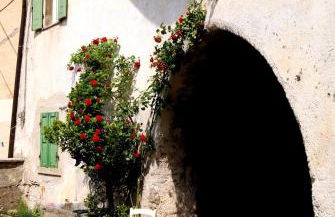 La casa degli antenati - Foto 1