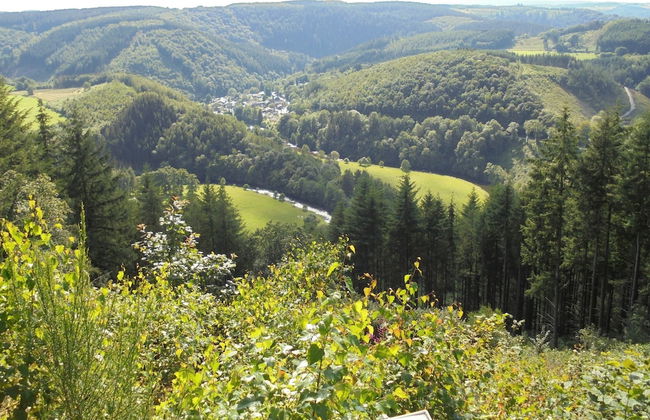 Beautiful and Authentic Cottage - Foto 39