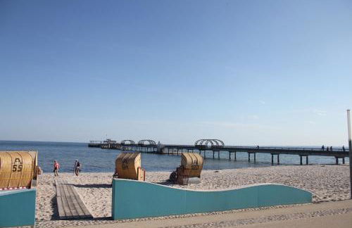 Silbermöwe im Kirschgarten - Foto 57