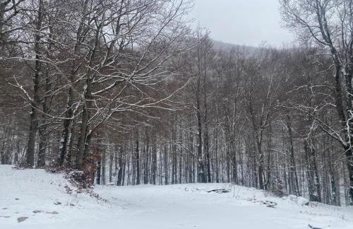 La casa nel bosco-Val Granara guesthouse - Foto 43