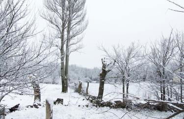 Las Casonas de Chavida - Foto 57