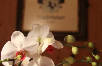 Feldererhof - Foto 30