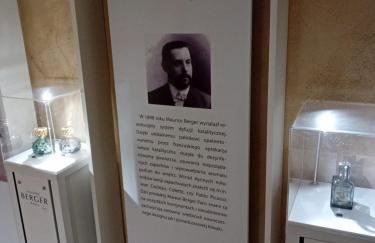 Dwór Podstolice - House of Rosenthal - Foto 65