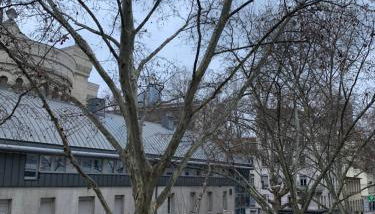 Lyon 3 Triangle d'Or - Foto 3