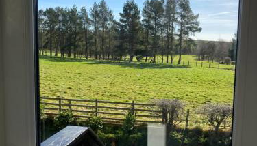 Dunamoy - Foto 2, Garden view