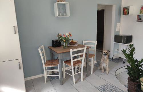 City Nest - Große gemütliche Ferienwohnung mit Terrasse, zentral gelegen, für Paare, Familien und Hunde! - Foto 13