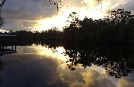 Rustic Cabin Rental Located in St. Marks Wildlife Refuge, Florida - Foto 14