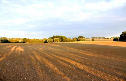 Apartment Battin 44 Uckermark - Foto 80