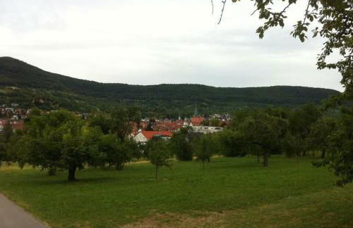 Ferienwohnungen Holder - Foto 8