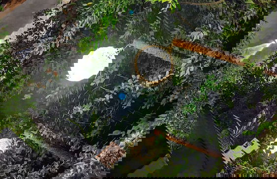 Green Villa & Soul Villa & Soul Cabana - Photo 56