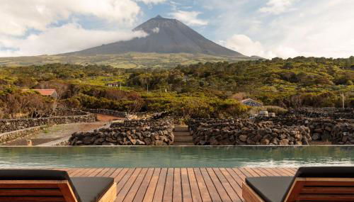 Adega do Fogo - Photo 4