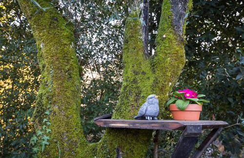 Varanda do Mouro - Foto 30