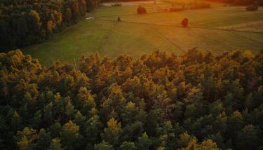 Kwintesencja Natury - Foto 5