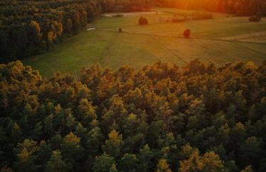 Kwintesencja Natury - Foto 5