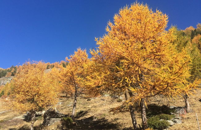 Bergfreude - Foto 78