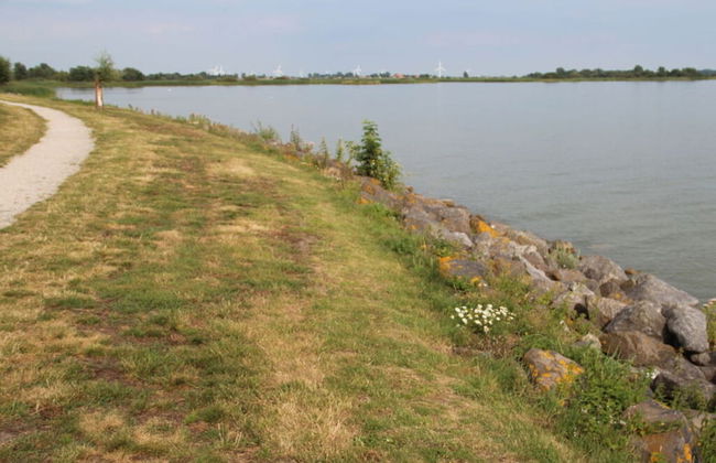 Dijkvilla on the Ijsselmeer - Foto 13