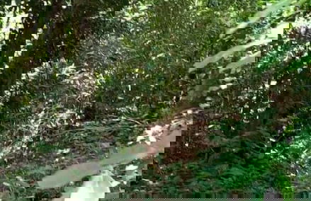 Rincón De Gaetano - Photo 22