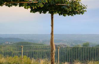 iCOLLIROSSI Agriturismo - Foto 22