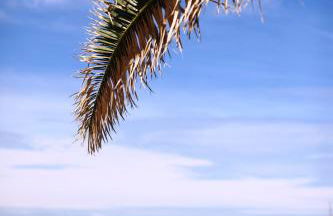 Appartamenti Mare Blu - Foto 7