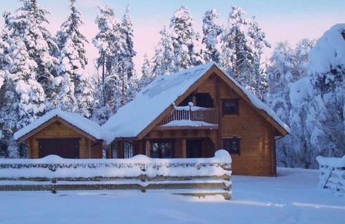 Norwegian Log Cabin The Roe Deer -sauna & hot tub - Foto 1