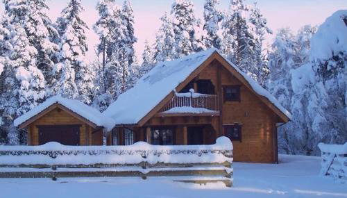 Norwegian Log Cabin The Roe Deer -sauna & hot tub - Foto 1