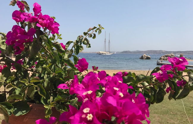 Boutique Hotel Rafael - Foto 16