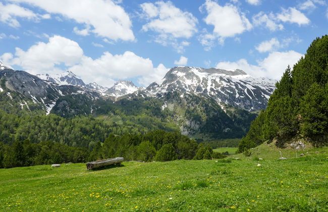 Rustico Stübii - Foto 26