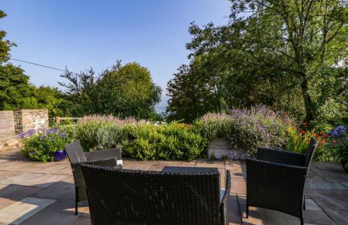 Black Cat Bach - Foto 26