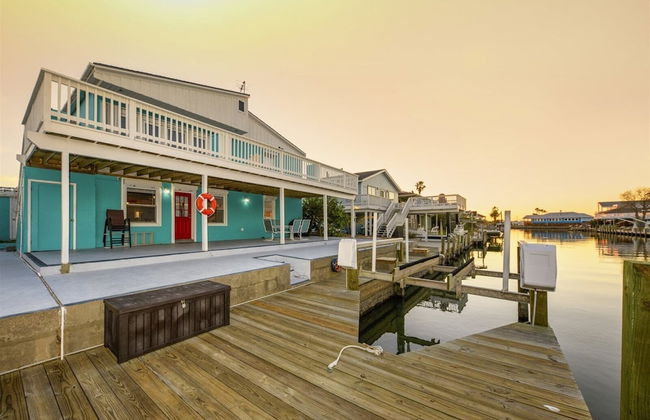 Dolphin Paradise - Photo 1