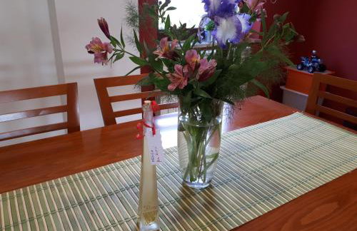 Apartman Aleks - Foto 32