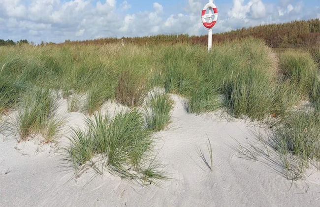 10 Person Holiday Home in Rodby-by Traum - Foto 10