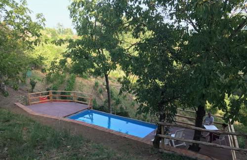 Vicinato Homestead - Foto 12