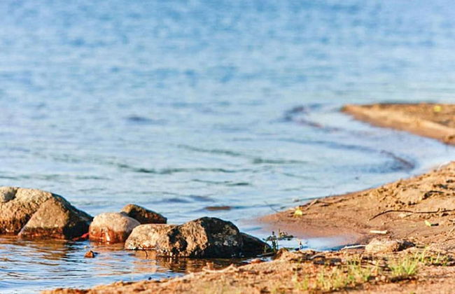 Family-friendly Home With Nature Views - Foto 26