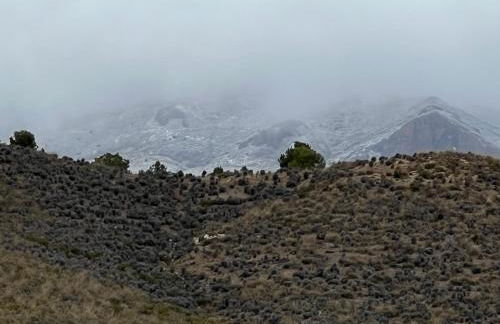 Vakantiehuis Casa de Musica - Photo 46