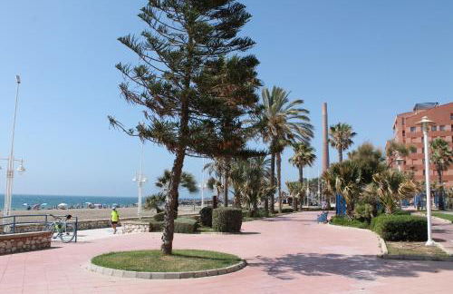 PACIFICO 18 - Photo 66