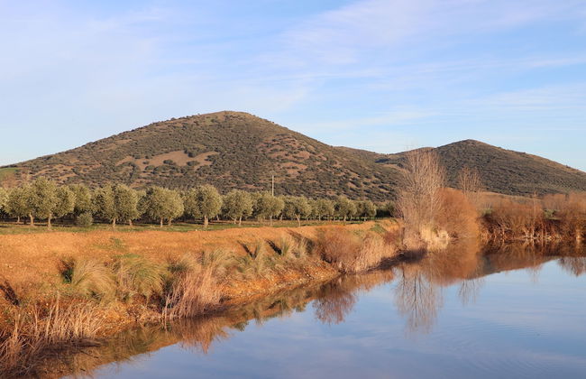 Agroturismo la finka - Foto 31