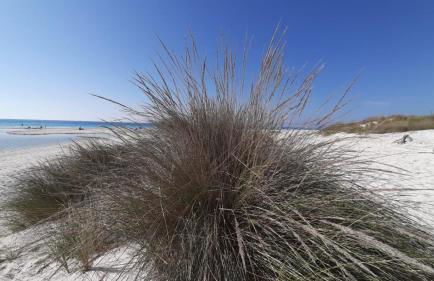 MORF - soulful suites - Foto 55