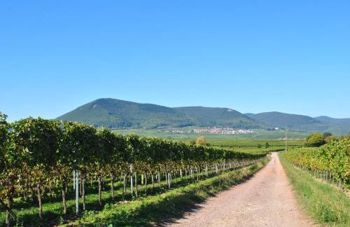 Ferienhaus Rauwolf mit 2 Ferienwohnungen - Photo 10