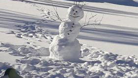 Unterreinischhof - Photo 4