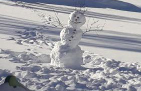 Unterreinischhof - Foto 4