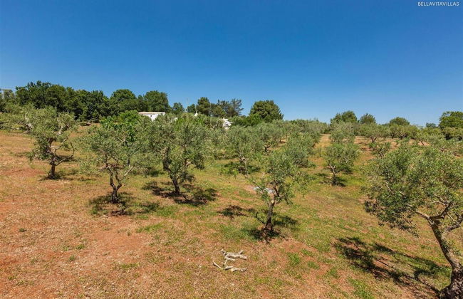 2410 Tenuta dei Fragni by Perle di Puglia - Foto 58