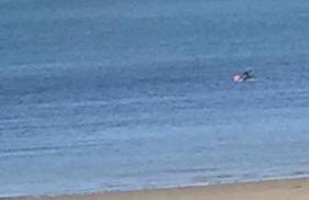 Tides Reach - Photo 34