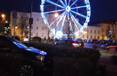 LA MAGNOLIA 2.0 - Foto 35