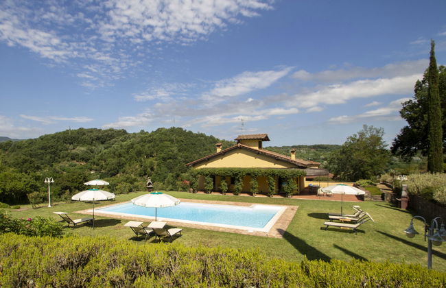 Corbezzolo - Foto 30